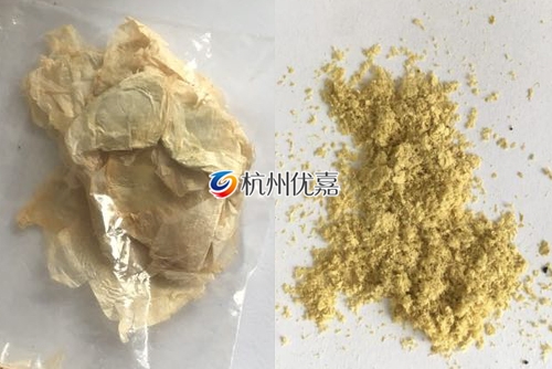 如何利用宋慈高通量多樣品組織研磨儀研磨植物組織？